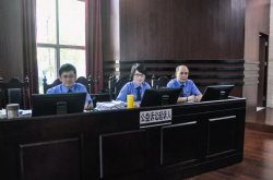 佛山市首例環(huán)境污染民事公益訴訟開審：要求企業(yè)承擔(dān)737萬余元民事責(zé)任